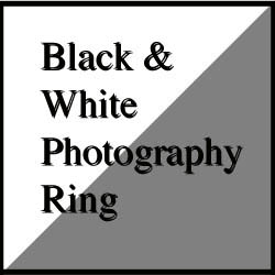 Black and White Photography Ring